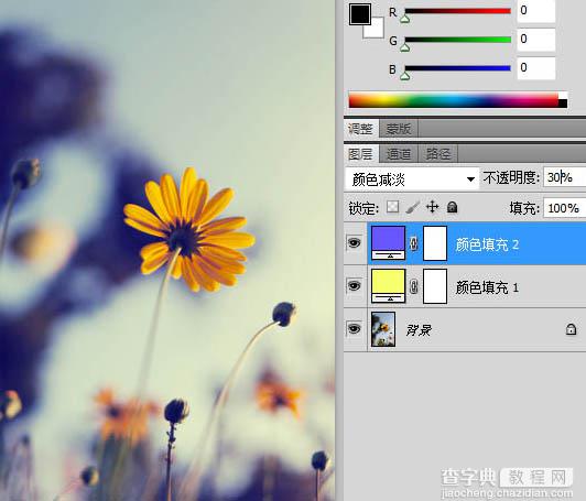 photoshop利用纯色图层快速打造中性蓝黄色花朵图片9