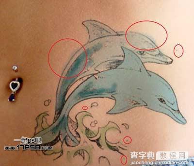photoshop制作出漂亮的海豚立体纹身效果6