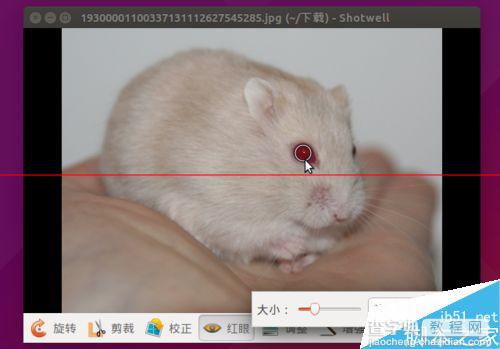 Ubuntu系统用自带的shotwell软件简单编辑照片的教程7