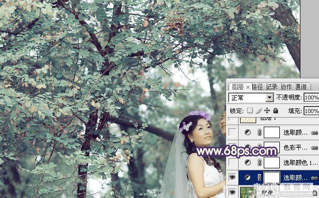 Photoshop制作古典青褐色效果的树林婚片7