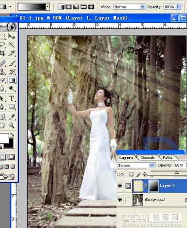 Photoshop为树林照片添加逼真的透视光线效果14