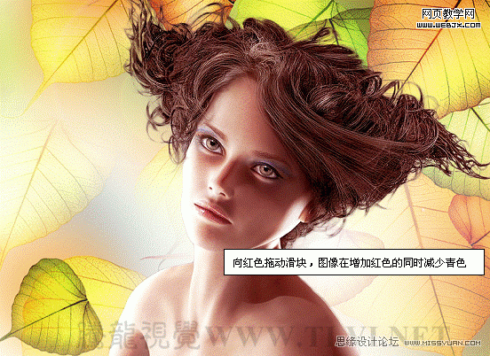 PS入门教程:用色彩平衡命令调整图片色彩的制作方法6