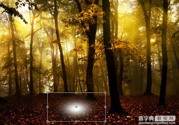 Photoshop为树林图片添加上高清的投射光束效果7