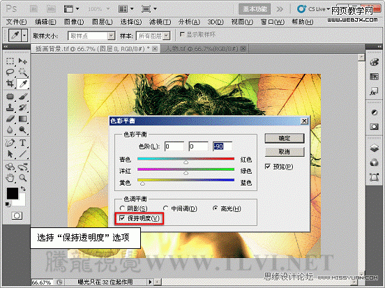 PS入门教程:用色彩平衡命令调整图片色彩的制作方法13