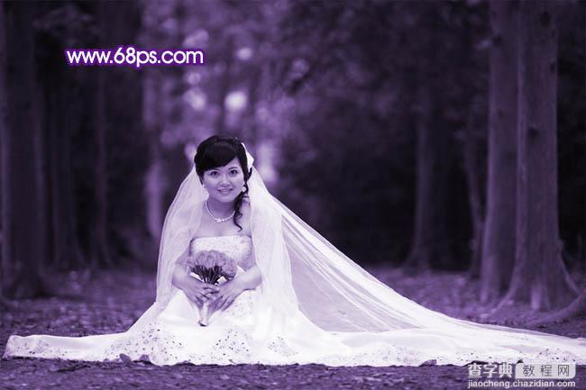 Photoshop图片处理教程之打造超梦幻的紫色婚片4