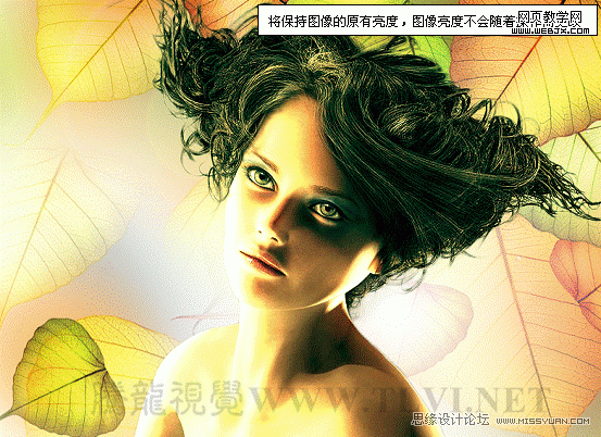PS入门教程:用色彩平衡命令调整图片色彩的制作方法14