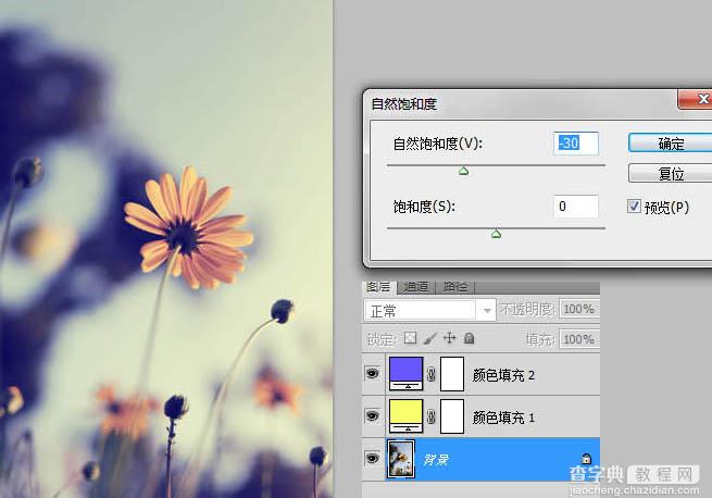 photoshop利用纯色图层快速打造中性蓝黄色花朵图片10