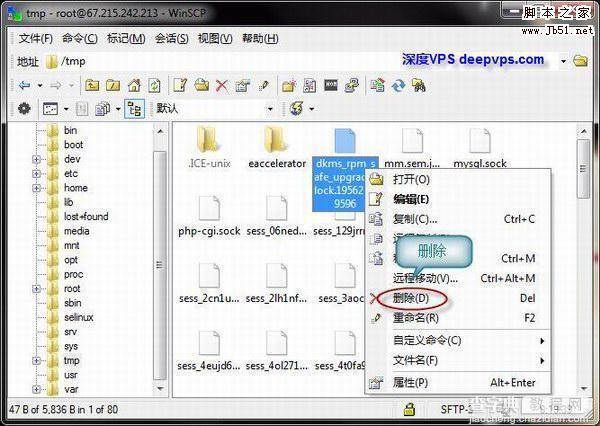 使用 WinSCP 管理 Linux VPS/服务器上的文件 图文教程11