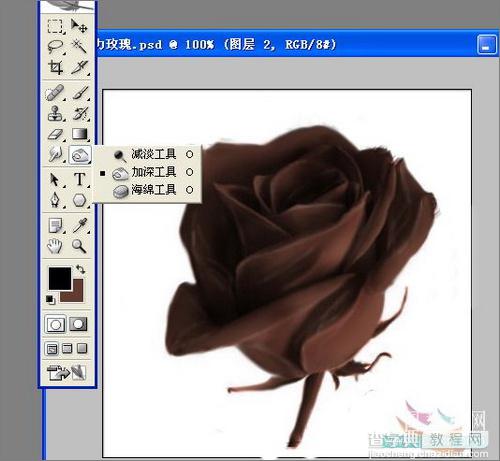 Photoshop制作诱人的巧克力玫瑰教程7