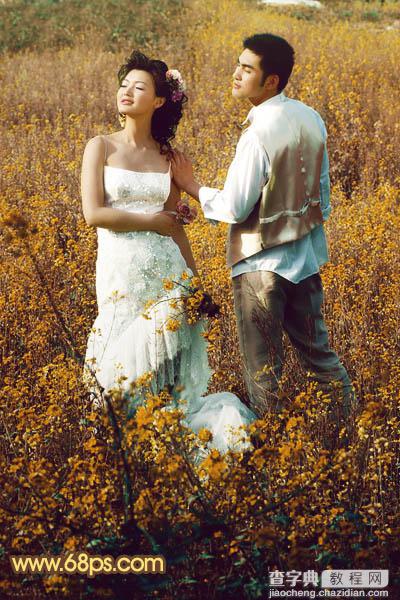 Photoshop制作柔和的金色花朵背景婚片26
