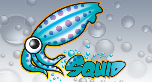 关于linux中Squid代理服务器的10个实用面试问答1