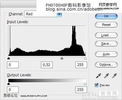 photoshop 照片整蛊之脸部缝制一个布标签2