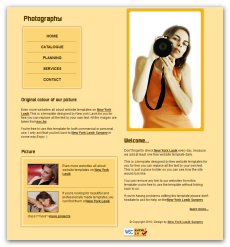 【网页设计】分享E-WebTemplates国外精美网页模板（FLASH+PSD源文件+HTML）19