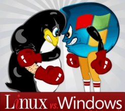 在微软Windows平台上打造Linux环境方法教程1