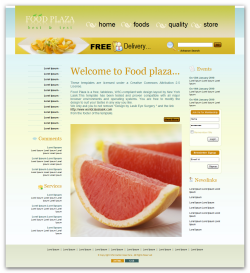 【网页设计】分享E-WebTemplates国外精美网页模板(FLASH+PSD源文件+HTML)28