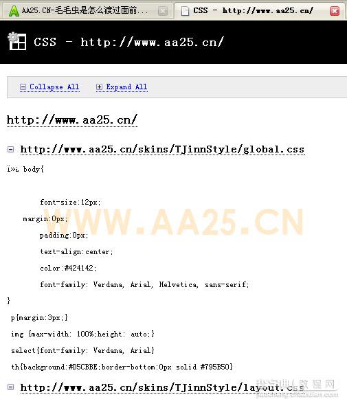 网页设计必备工具 firefox Web Developer插件 CSS工具组教程2