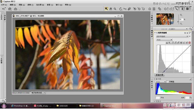 photoshop在LAB模式下通过曲线调整秋季摄影图片效果实例教程3