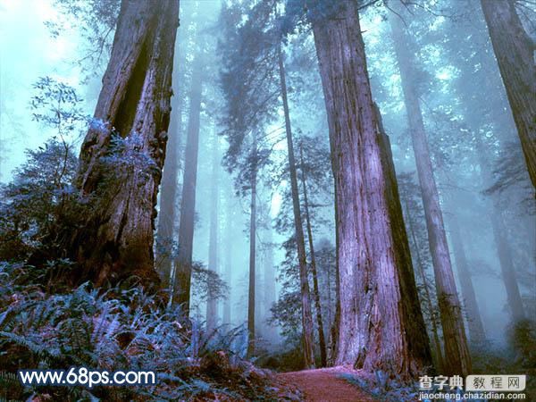 Photoshop制作暗调蓝紫色的森林图片19