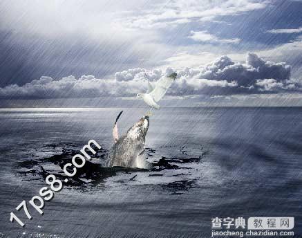 photoshop将合成鲸鱼越出水面掠夺海鸥食物场景效果22