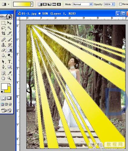 Photoshop为树林照片添加逼真的透视光线效果11