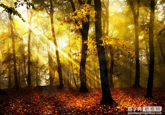 Photoshop为树林图片添加上高清的投射光束效果12