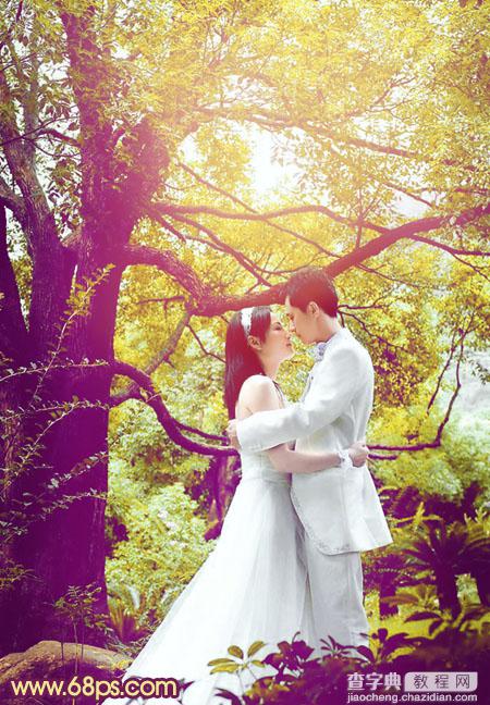 Photoshop将树林婚片增加上柔美的黄紫色效果2