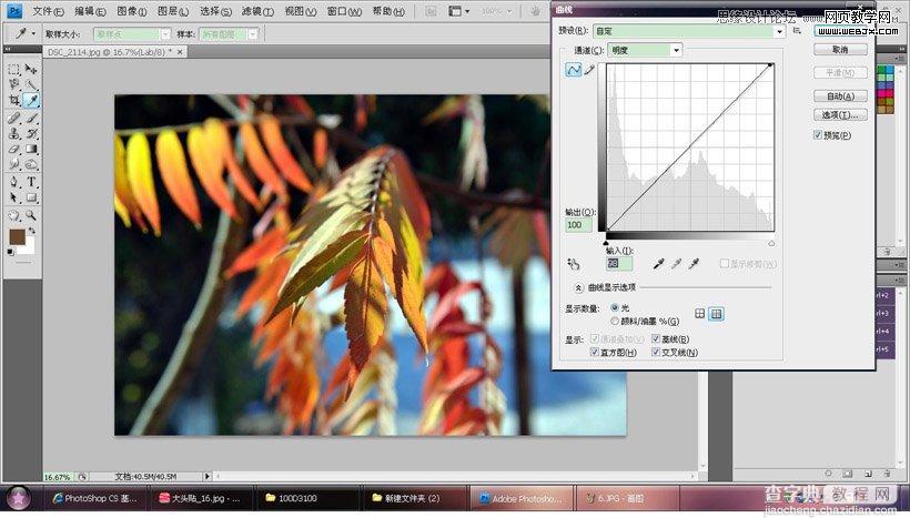 photoshop在LAB模式下通过曲线调整秋季摄影图片效果实例教程9