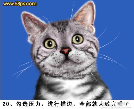 PS将鼠绘出神态逼真可爱的小灰猫20