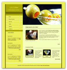 【网页设计】分享E-WebTemplates国外精美网页模板（FLASH+PSD源文件+HTML）14