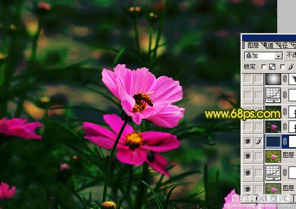 Photoshop 斑斓的花朵图片实现方法13