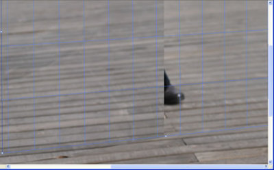Photoshop 快速去除照片中碍眼的部分11