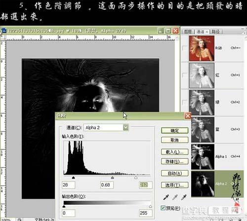 photoshop 通道及抽出滤镜抠出人物复杂发丝7