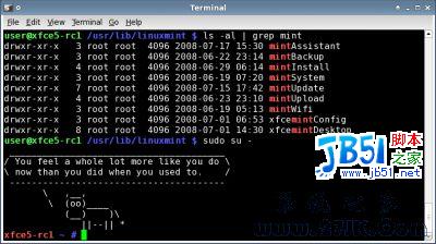 Linux Mint 5 XFCE Community Edition RC1 (BETA 025) 本月17日开始发布1