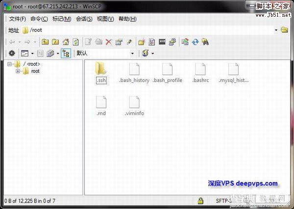 使用 WinSCP 管理 Linux VPS/服务器上的文件 图文教程5