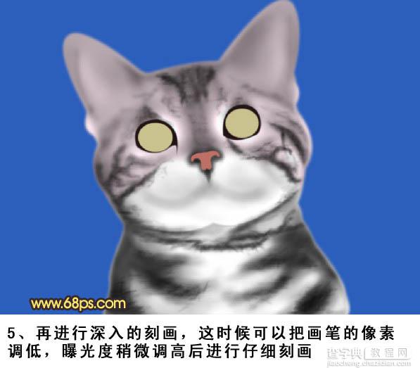 PS将鼠绘出神态逼真可爱的小灰猫6