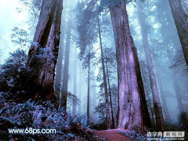 Photoshop制作暗调蓝紫色的森林图片21