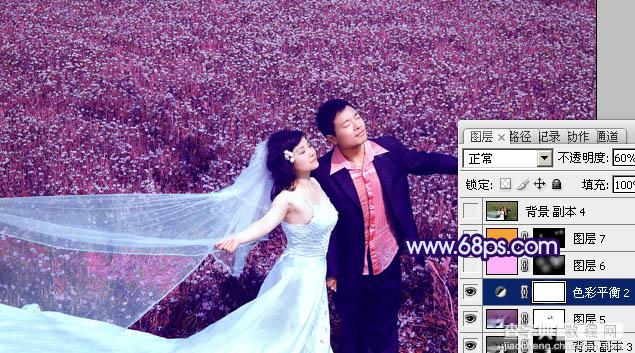 Photoshop将草地婚片调制出柔美的蓝紫色28