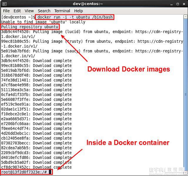 在CentOS或Fedora上运行Docker容器的方法与步骤1