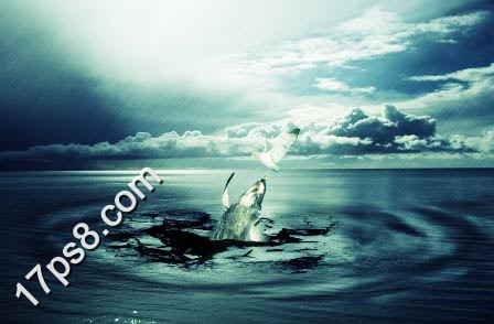 photoshop将合成鲸鱼越出水面掠夺海鸥食物场景效果27