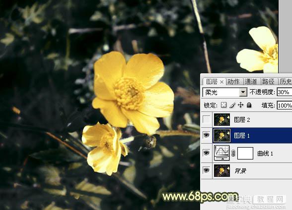 Photoshop将花朵图片调成强对比的暗黄色26