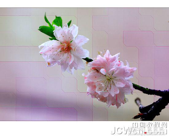 Photoshop快速为照片加上不规则的小方框2