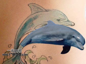 photoshop制作出漂亮的海豚立体纹身效果12
