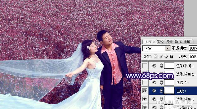 Photoshop将草地婚片调制出柔美的蓝紫色13