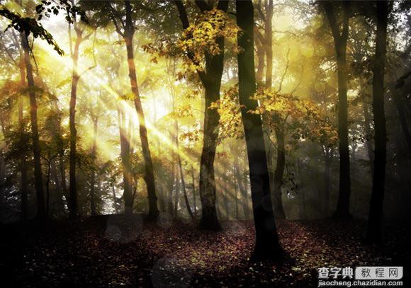 Photoshop为树林图片添加上高清的投射光束效果2