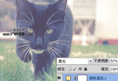 photoshop将可爱的猫咪图片打造出复古老照片效果7