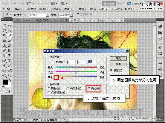 PS入门教程:用色彩平衡命令调整图片色彩的制作方法11