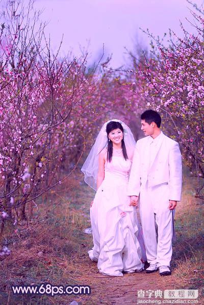 Photoshop将桃林婚片调成艳丽的紫红色13