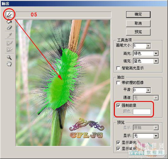 Photoshop抽出滤镜在复杂背景下抠毛毛虫教程7