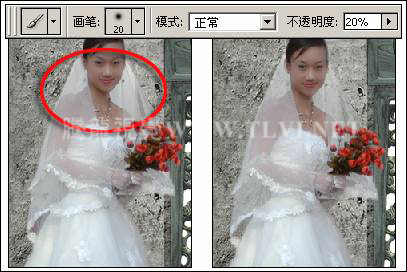 photoshop下为婚纱照片增加艺术感染力教材14