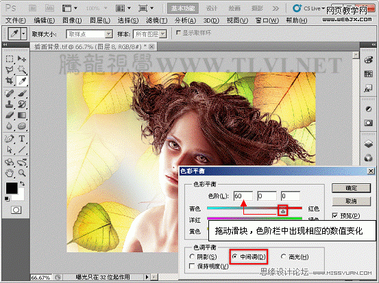PS入门教程:用色彩平衡命令调整图片色彩的制作方法5